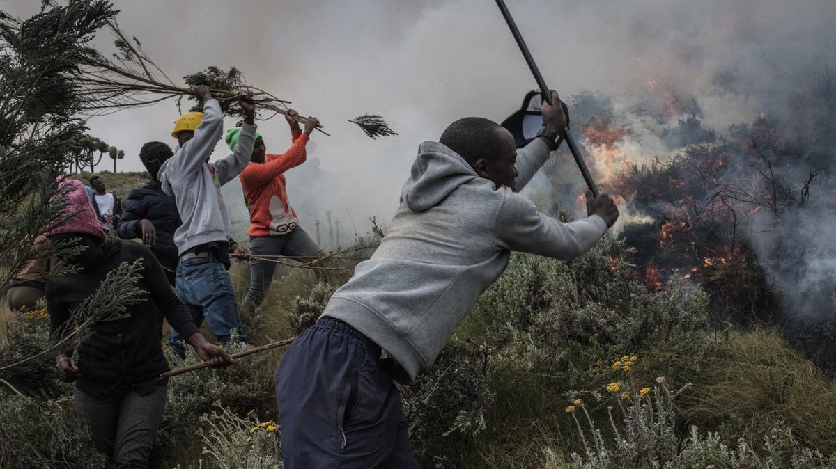Keňský národní park v plamenech: hoří domov ohrožených nosorožců
